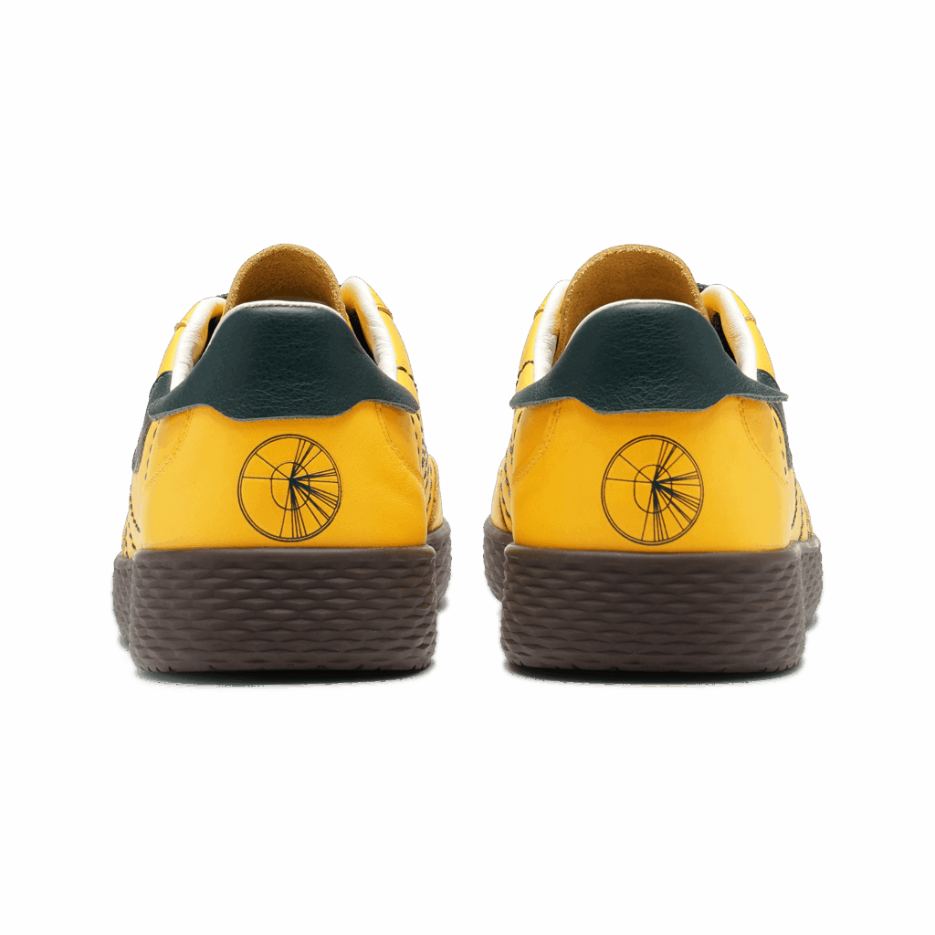 Sachin Tendulkar 241 not out Sydney inspired sneaker tribute